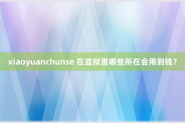 xiaoyuanchunse 在监狱里哪些所在会用到钱？