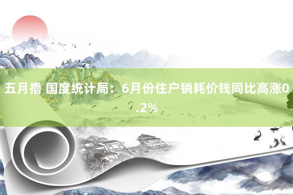 五月撸 国度统计局：6月份住户销耗价钱同比高涨0.2%