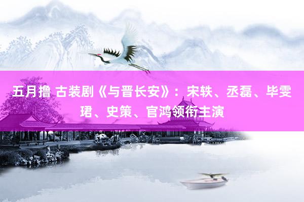 五月撸 古装剧《与晋长安》：宋轶、丞磊、毕雯珺、史策、官鸿领衔主演