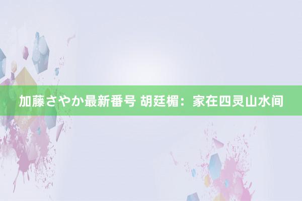 加藤さやか最新番号 胡廷楣：家在四灵山水间