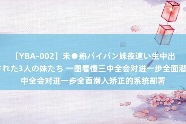 【YBA-002】未●熟パイパン妹夜這い生中出しレイプ 兄に犯された3人の妹たち 一图看懂三中全会对进一步全面潜入矫正的系统部署