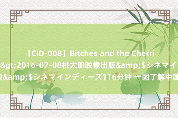 【CID-008】Bitches and the Cherries-ヤリマンと童貞-</a>2016-07-08桃太郎映像出版&$シネマインディーズ116分钟 一图了解中国2035年的贪图