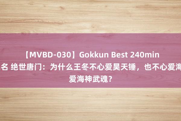 【MVBD-030】Gokkun Best 240min. 総勢12名 绝世唐门：为什么王冬不心爱昊天锤，也不心爱海神武魂？