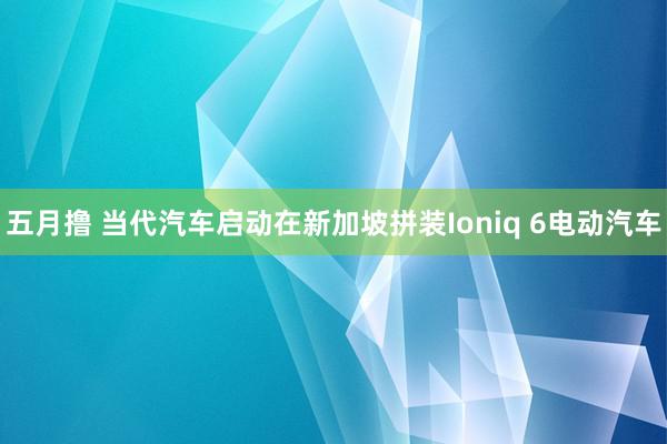 五月撸 当代汽车启动在新加坡拼装Ioniq 6电动汽车