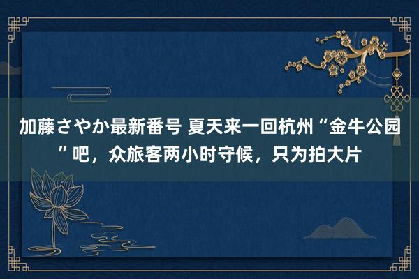 加藤さやか最新番号 夏天来一回杭州“金牛公园”吧，众旅客两小时守候，只为拍大片