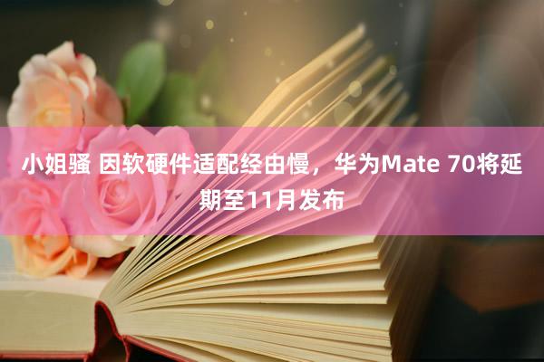 小姐骚 因软硬件适配经由慢，华为Mate 70将延期至11月发布