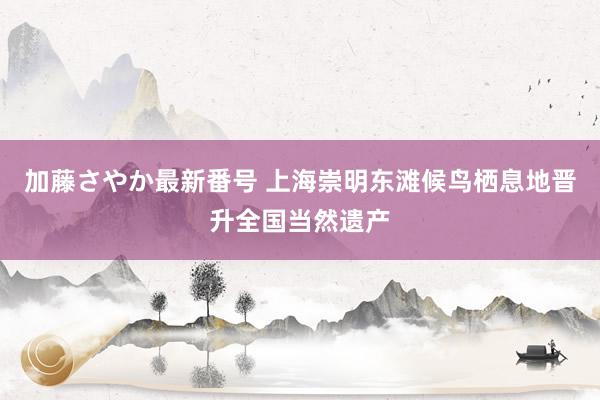 加藤さやか最新番号 上海崇明东滩候鸟栖息地晋升全国当然遗产