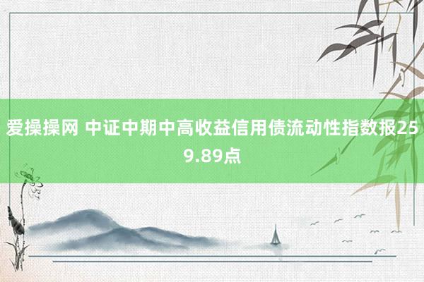 爱操操网 中证中期中高收益信用债流动性指数报259.89点