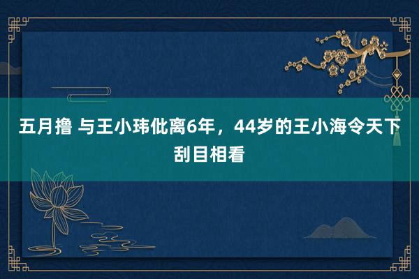 五月撸 与王小玮仳离6年，44岁的王小海令天下刮目相看