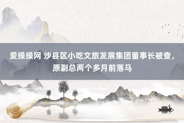 爱操操网 沙县区小吃文旅发展集团董事长被查，原副总两个多月前落马