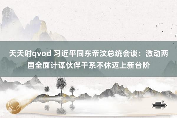 天天射qvod 习近平同东帝汶总统会谈：激动两国全面计谋伙伴干系不休迈上新台阶