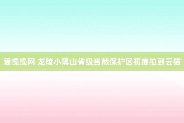 爱操操网 龙陵小黑山省级当然保护区初度拍到云猫