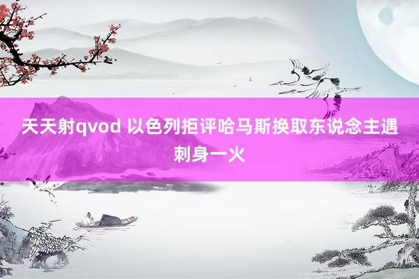 天天射qvod 以色列拒评哈马斯换取东说念主遇刺身一火