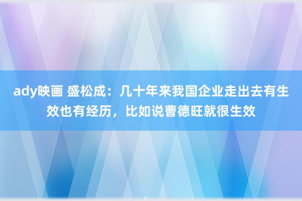 ady映画 盛松成：几十年来我国企业走出去有生效也有经历，比如说曹德旺就很生效