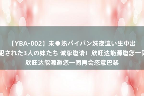 【YBA-002】未●熟パイパン妹夜這い生中出しレイプ 兄に犯された3人の妹たち 诚挚邀请！欣旺达能源邀您一同再会恣意巴黎