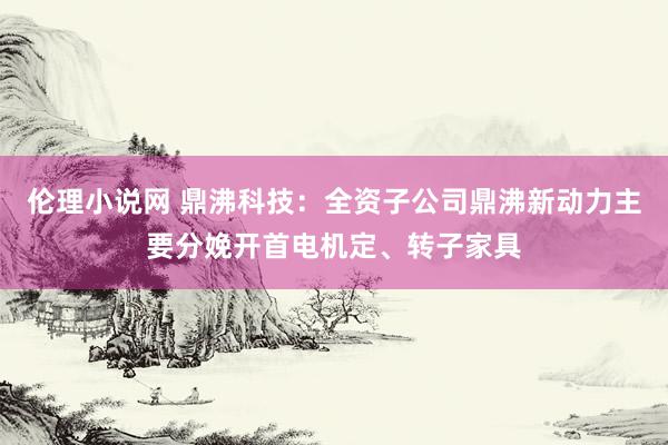 伦理小说网 鼎沸科技：全资子公司鼎沸新动力主要分娩开首电机定、转子家具