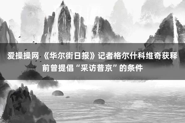 爱操操网 《华尔街日报》记者格尔什科维奇获释前曾提倡“采访普京”的条件