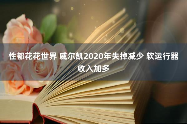 性都花花世界 威尔凯2020年失掉减少 软运行器收入加多