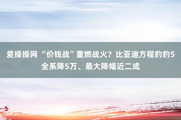 爱操操网 “价钱战”重燃战火？比亚迪方程豹豹5全系降5万、最大降幅近二成