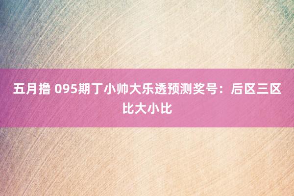 五月撸 095期丁小帅大乐透预测奖号：后区三区比大小比