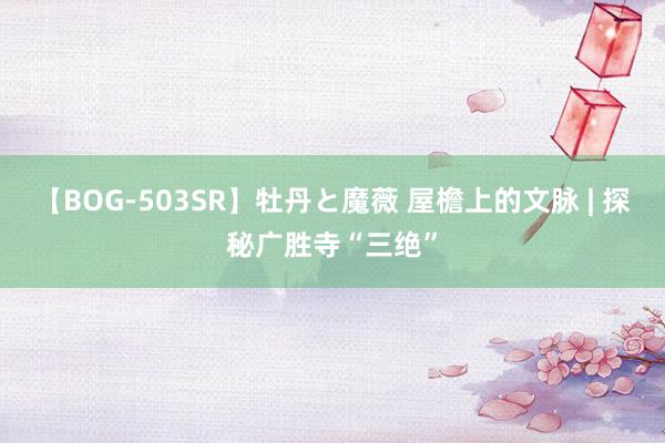 【BOG-503SR】牡丹と魔薇 屋檐上的文脉 | 探秘广胜寺“三绝”