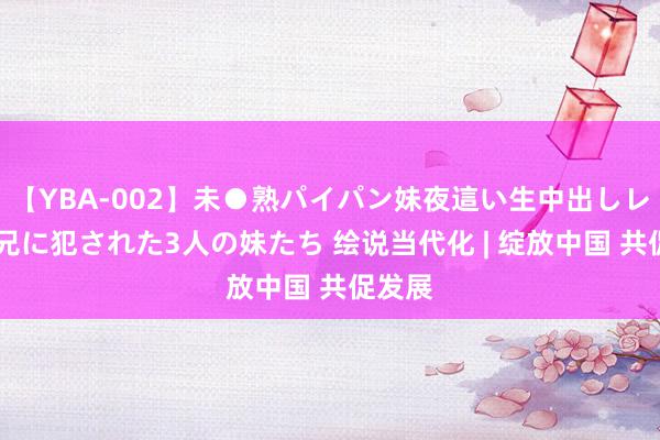 【YBA-002】未●熟パイパン妹夜這い生中出しレイプ 兄に犯された3人の妹たち 绘说当代化 | 绽放中国 共促发展