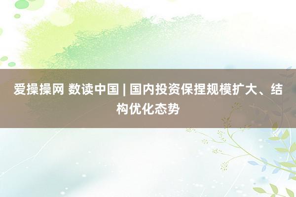 爱操操网 数读中国 | 国内投资保捏规模扩大、结构优化态势