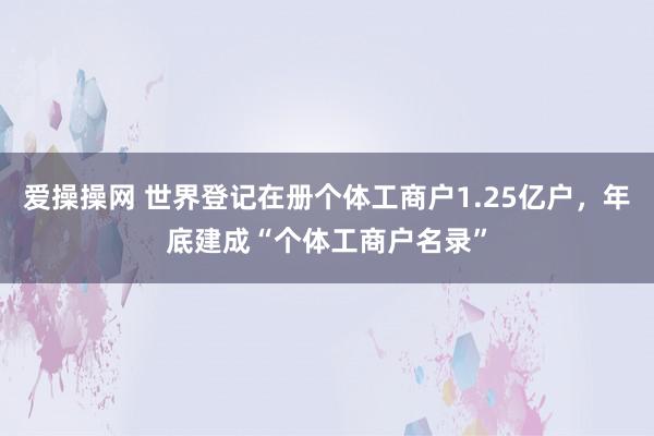 爱操操网 世界登记在册个体工商户1.25亿户，年底建成“个体工商户名录”