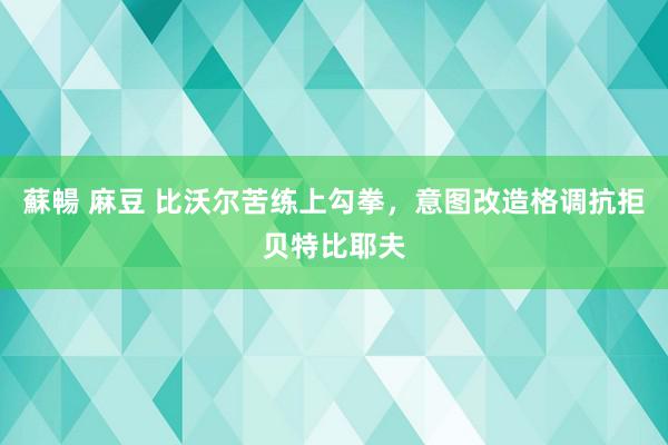 蘇暢 麻豆 比沃尔苦练上勾拳，意图改造格调抗拒贝特比耶夫