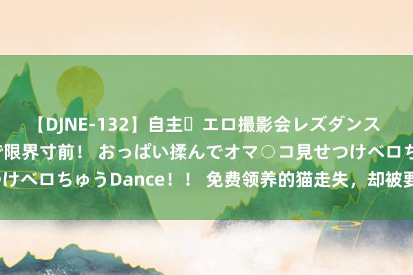 【DJNE-132】自主・エロ撮影会レズダンス 透け透けベビードールで限界寸前！ おっぱい揉んでオマ○コ見せつけベロちゅうDance！！ 免费领养的猫走失，却被要求延续买猫粮？