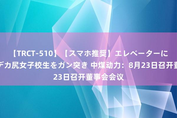 【TRCT-510】【スマホ推奨】エレベーターに挟まれたデカ尻女子校生をガン突き 中煤动力：8月23日召开董事会会议