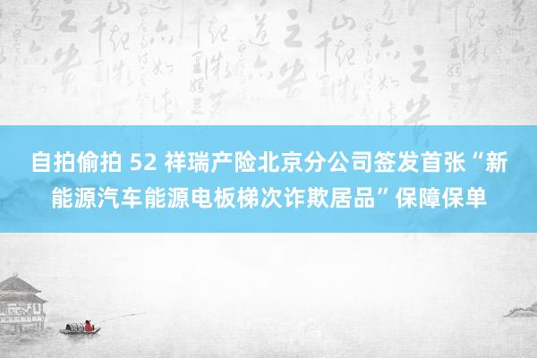 自拍偷拍 52 祥瑞产险北京分公司签发首张“新能源汽车能源电板梯次诈欺居品”保障保单