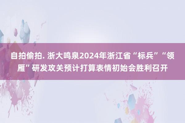 自拍偷拍. 浙大鸣泉2024年浙江省“标兵”“领雁”研发攻关预计打算表情初始会胜利召开